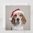 Recherche de beagles mignons invitations Animal