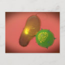 Suche nach antikörper postkarten Digital generiertes bild