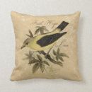 Suche nach fink kissen Singvogel