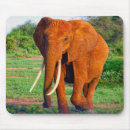 Suche nach afrikanische safari mousepads Elefanten