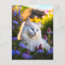 Recherche de angora cartes postales Chats