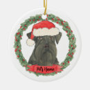 Suche nach schnauzer ornamente Personalisiert