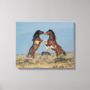 Suche nach jaynes galerie leinwandbilder Pferd