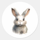 Recherche de amant lapin autocollants Amoureux du lapin