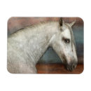 Suche nach andalusien magnete Pferd