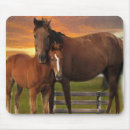 Suche nach lustiges pferd mousepads Bauernhof