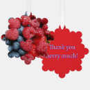 Suche nach himbeere ornamente Beeren