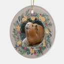 Suche nach meerschweinchen kugel ornamente Cavies