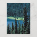 Recherche de arbre à feuillage persistant cartes postales Paysage