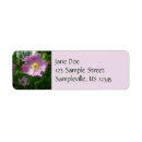 Suche nach rosa wilde rose Natur