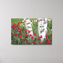 Suche nach tulpen leinwandbilder Reihe