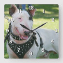 Suche nach terrier wanduhren Animal