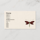 Recherche de mouche cartes visite Dragon