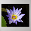 Recherche de egypte art Lotus