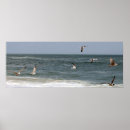 Suche nach vogel im flug poster Möwen