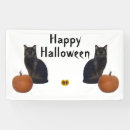 Suche nach katzen banner Gelb