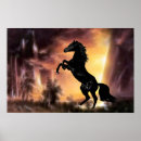 Suche nach gelding poster Horse