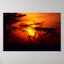 Suche nach afrikanischer sonnenuntergang poster Safari
