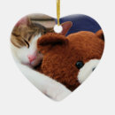 Recherche de chat somnolent Minou