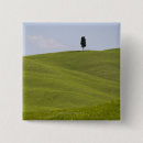 Suche nach einziger baum Landschaft