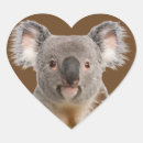 Recherche de koala coeur koala Porter