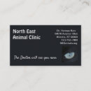 Recherche de felines cartes visite Noir