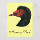 Recherche de drague cartes postales Oiseau
