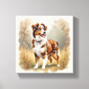 Recherche de bois de merle Berger australien