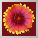 Suche nach indische decke poster Blume