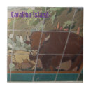 Suche nach catalina Avalon