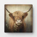 Recherche de vaches plaques Animal de ferme