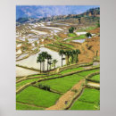 Suche nach reisterrassen poster China