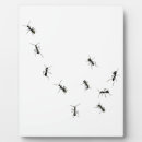 Recherche de dix plaques Drôle