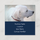 Suche nach dem regal visitenkarten Einfach