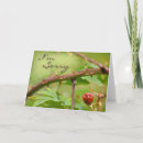 Suche nach blackberry karten Natur