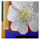 Suche nach fine fliesen Blau