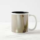 Recherche de 20ème tasses École
