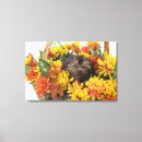 Suche nach yorkie welpen poster Studioschuß