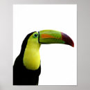 Suche nach exotic poster Tropisch