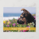 Suche nach alles gute zum geburtstag hunde postkarten Begrüßung