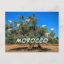 Suche nach sousse Marokko
