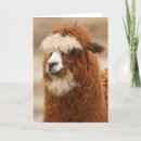 Recherche de alpaca vœux cartes Mignonette