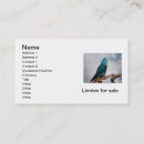 Recherche de perruches cartes visite Perroquet