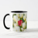 Suche nach rote tulpen tassen Blume