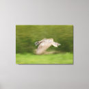 Suche nach unscharfe bewegung leinwandbilder Horizontal