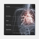 Suche nach organe magnete Vorderseite