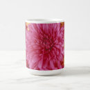 Recherche de chrysanthèmes tasses Fleurs