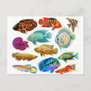 Recherche de poche cartes postales Pêche
