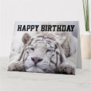 Suche nach tigerkarte Katze