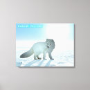 Recherche de renard arctique art Faune